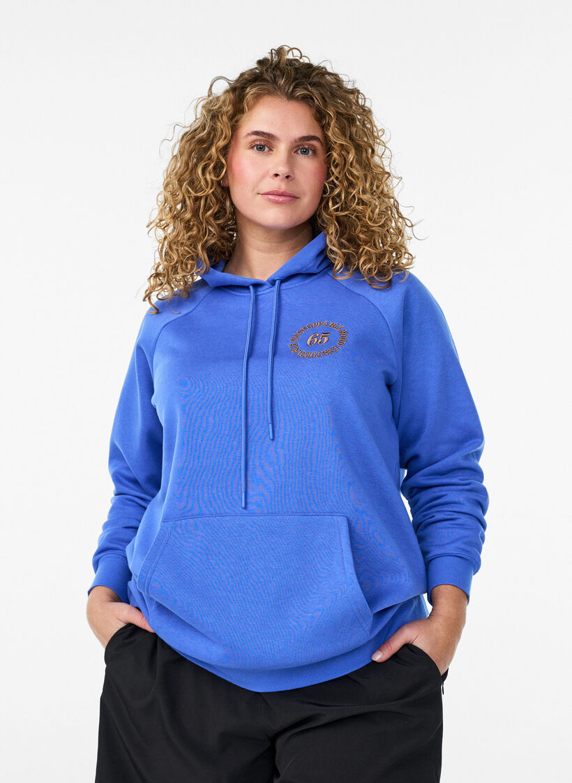 Bluza z kapturem z haftowanym motywem z przodu, Niebieskie, Model image number 0
