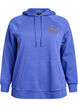 Bluza z kapturem z haftowanym motywem z przodu, Niebieskie, Packshot image number 0