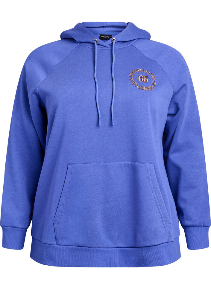 Bluza z kapturem z haftowanym motywem z przodu, Niebieskie, Packshot image number 0
