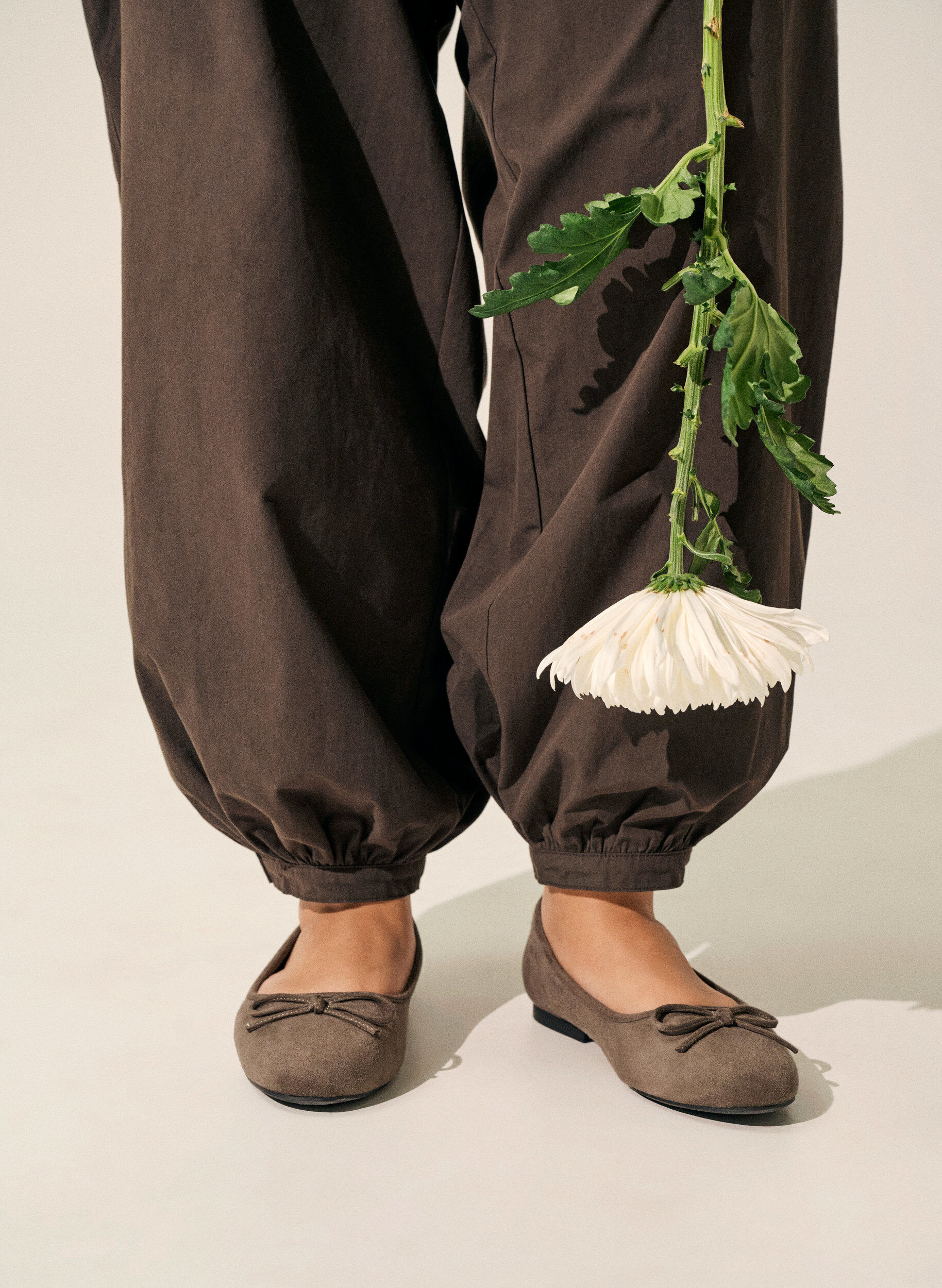 Zizzi Ballerina ze sztucznego zamszu z kokardka, Brązowy, Image image number 0