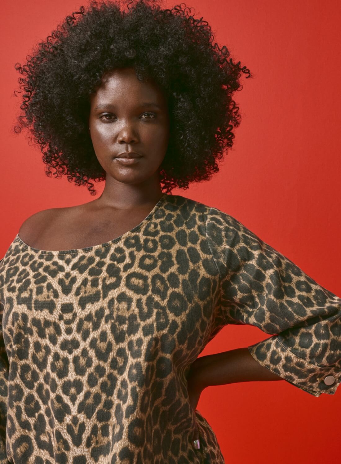 Zizzi Dżinsowa sukienka w panterkę, , Model