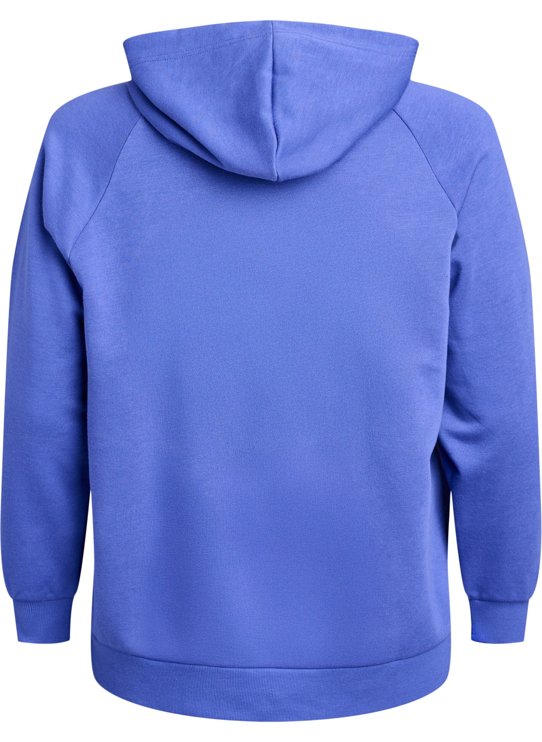 ZizziBluza z kapturem z haftowanym motywem z przodu, Niebieskie, Packshot image number 1